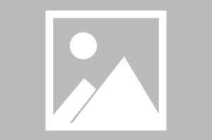 pp电子官方网站-2000名国内外选手竞逐阳春高山花海赛道